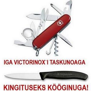 Rocca al Mare Jahipaunas igale Victorinox`i taskunoa ostjale kingituseks kööginuga!
