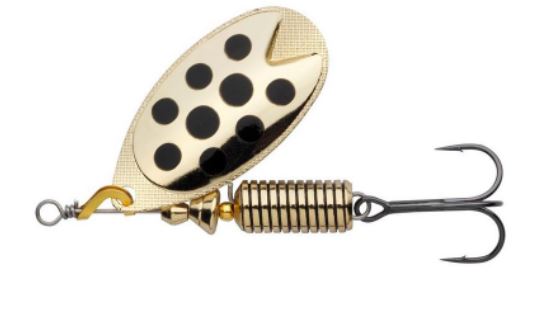 GOLD BLACK DOT