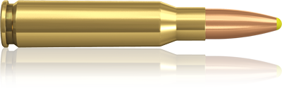NORMA .308 WIN. PPDC 11,7 G