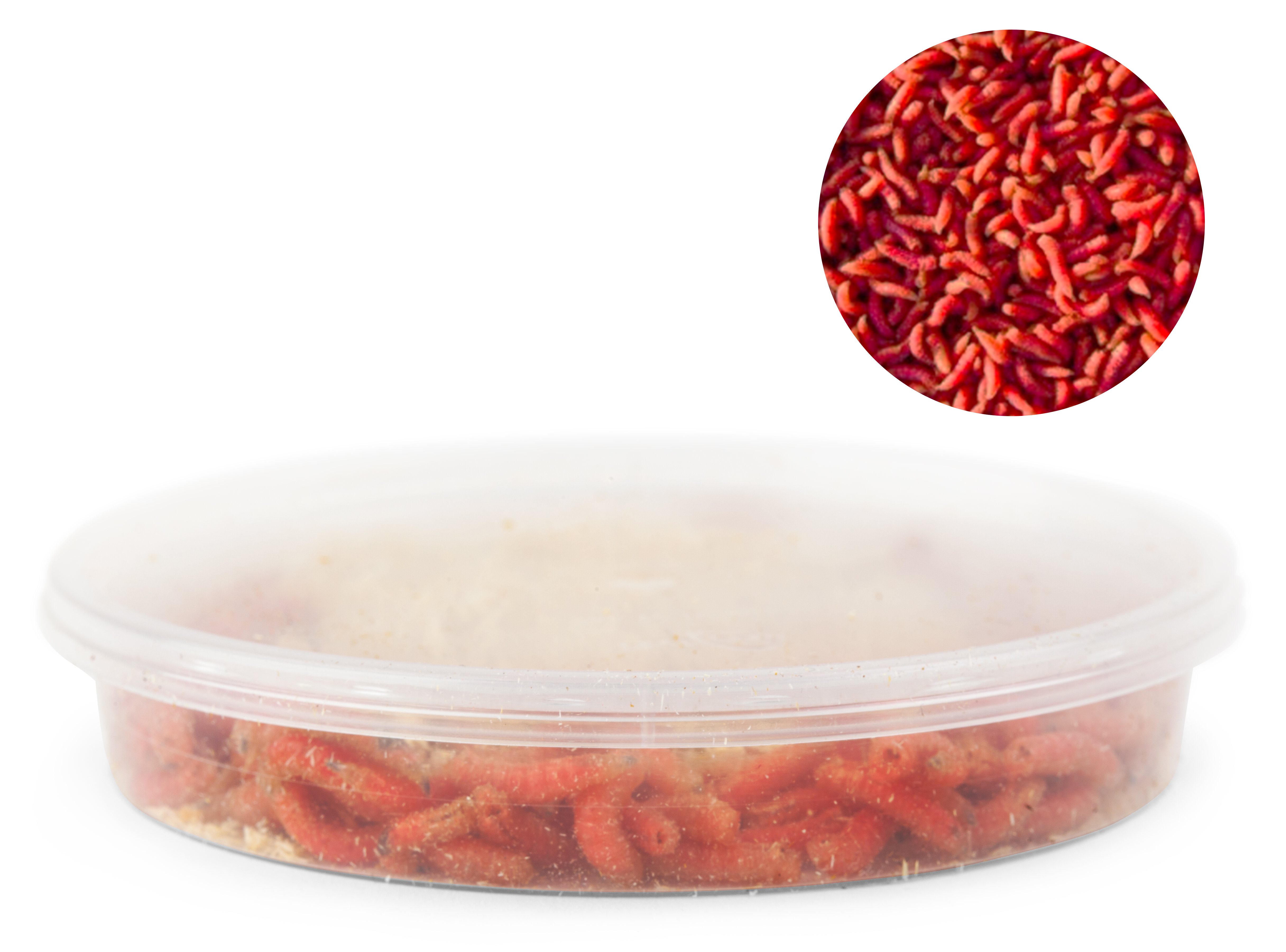 KÄRBSETÕUGUD ELUS 10 G PUNASED