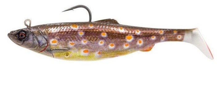 Plaice