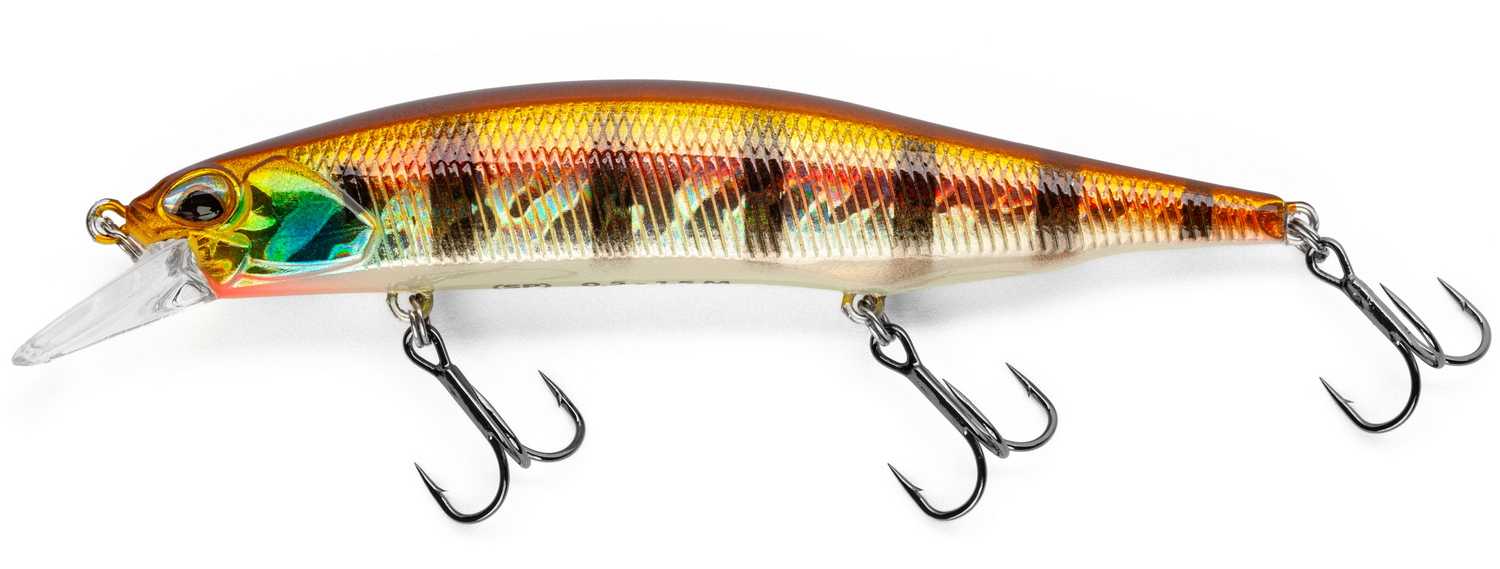 Golden Perch