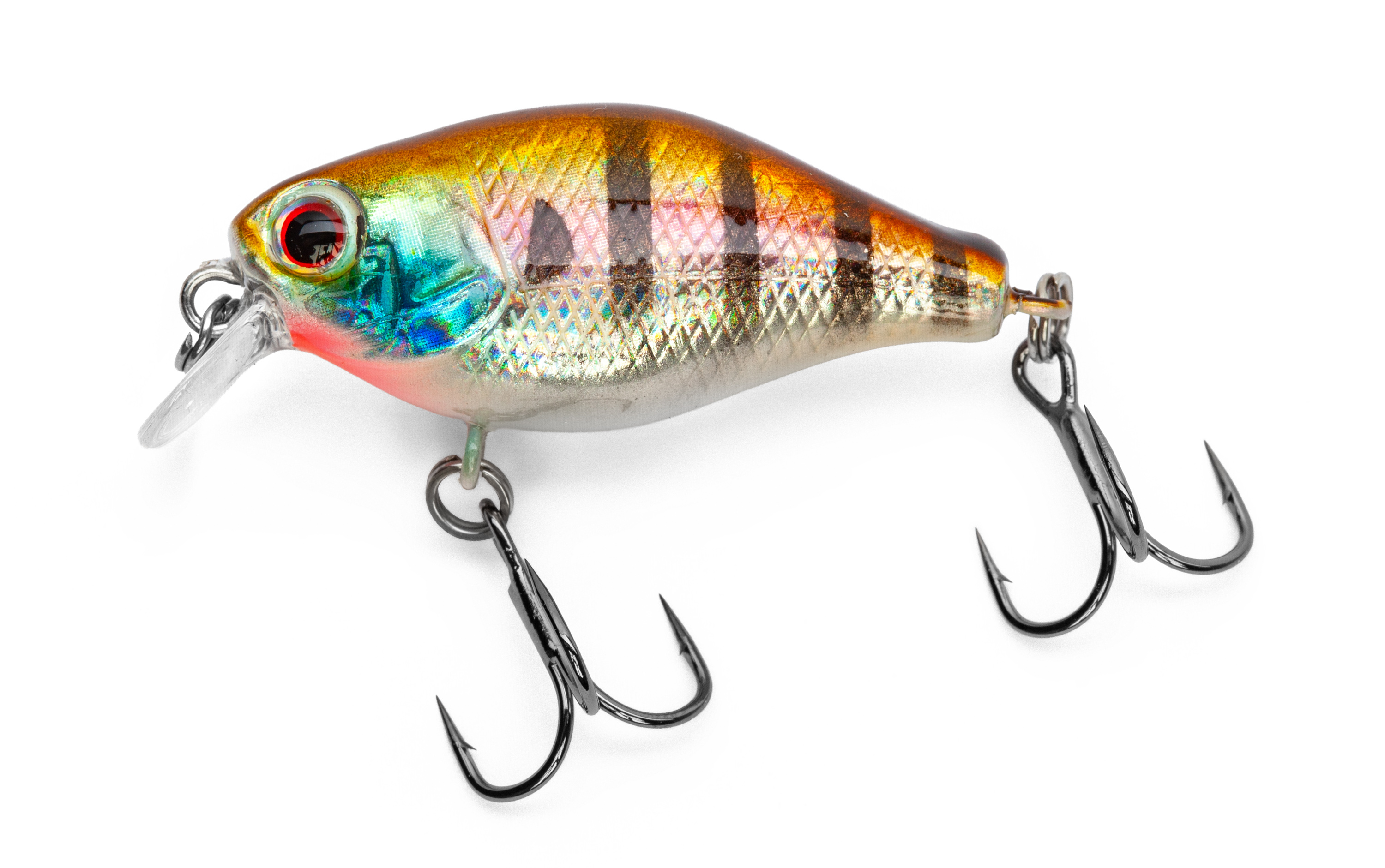 Golden Perch