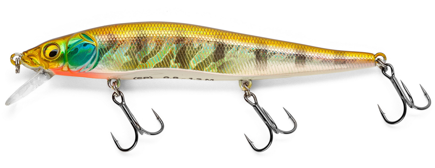 Golden Perch