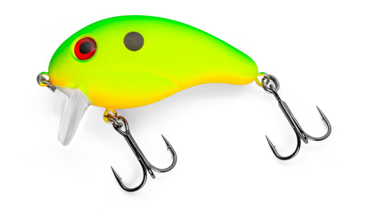 Citrus Spot