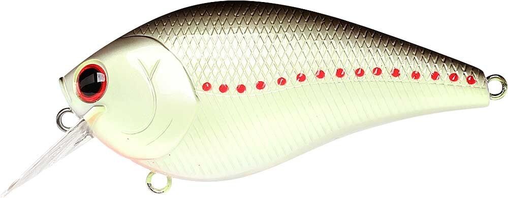 CHARTREUSE PERCH
