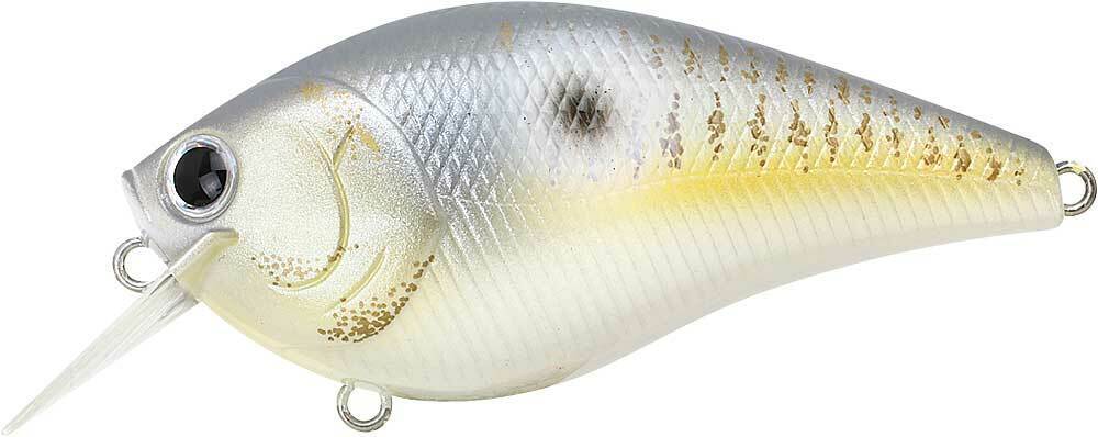 GOLDEN THREADFIN SHAD