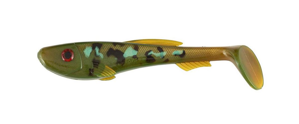 Eel Pout