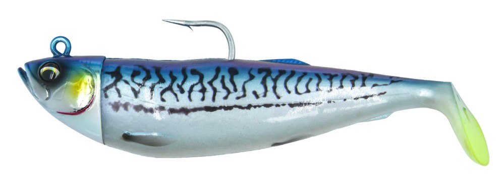 Blue Mackerel