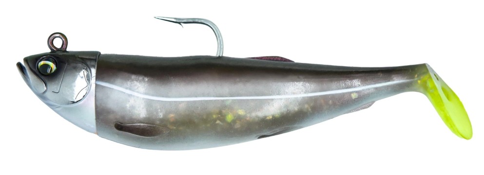 Coalfish