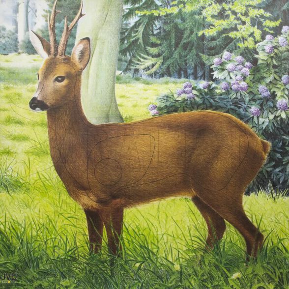 JVD ROE DEER FIELD TARGET