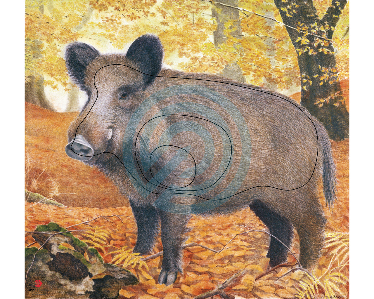 JVD WILD BOAR FIELD TARGET