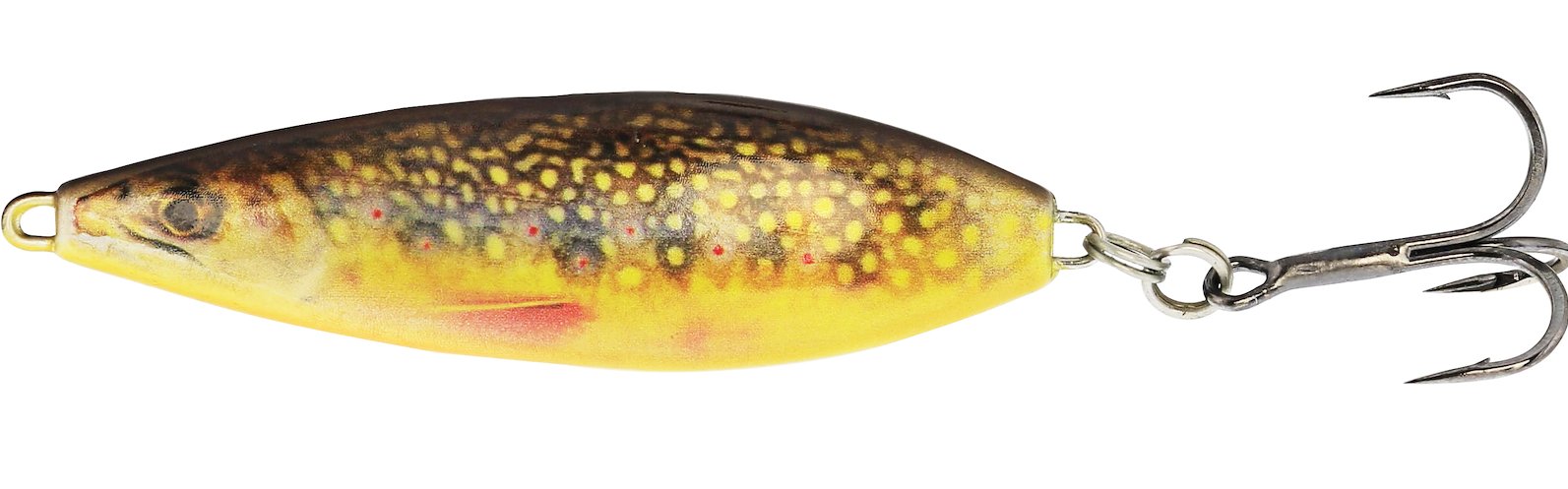 BROOK TROUT