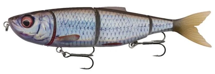 Roach