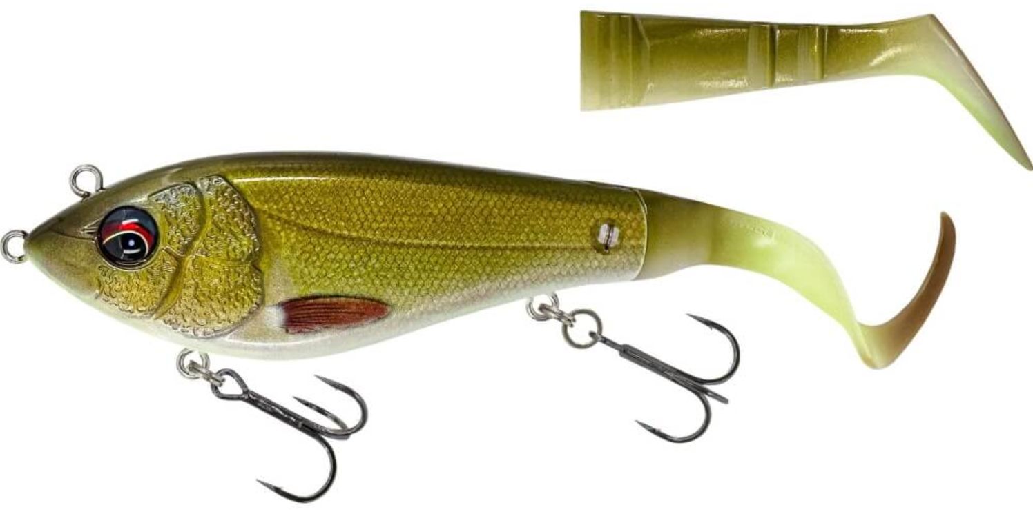 Tench
