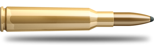S&B 6,5x55 SE SP 9,1 G