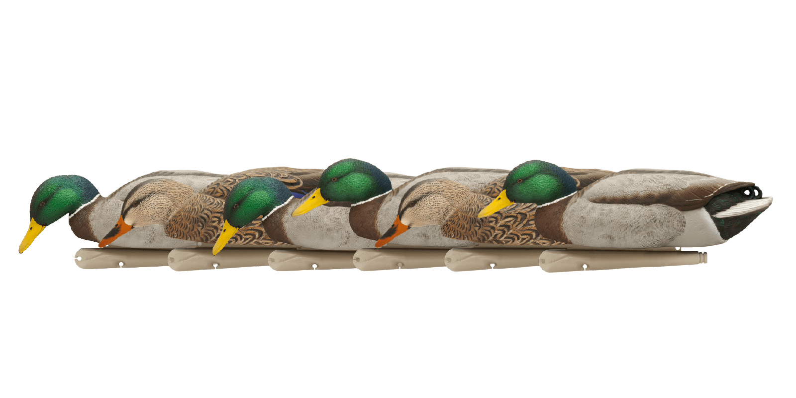 PEIBUTUSKUJUD AVIAN-X TOPFLIGHT BACKWATER MALLARD