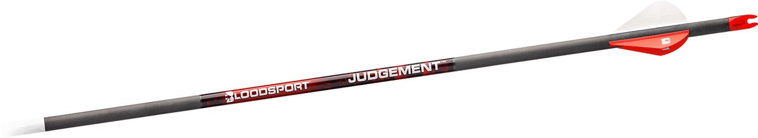 VIBUNOOL BLOODSPORT JUDGEMENT 350 6 TK