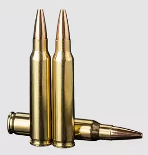 SAKO .223 REM 113G TRG SPORT OTM 3,43 G  CARTRIDGE